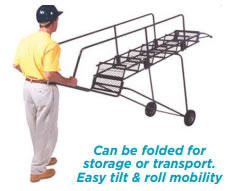 fold-n-store ladder