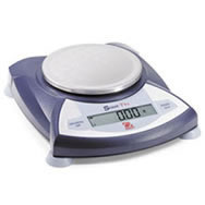 portable electronic scales